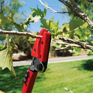 3. Corona LR 3460 Long Reach